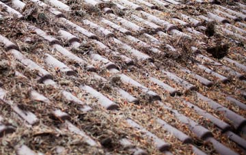 Darmsden roof cleaning companies