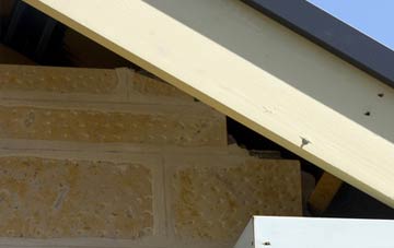 soffit repair Darmsden