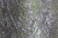 Darmsden fibreglass roof work